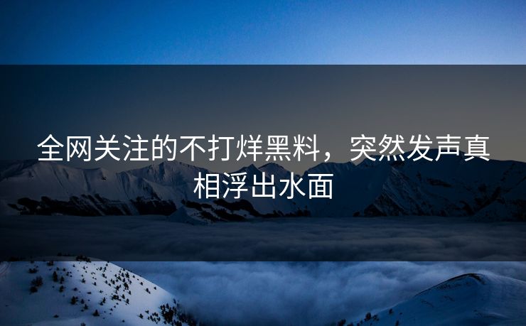 全网关注的不打烊黑料，突然发声真相浮出水面