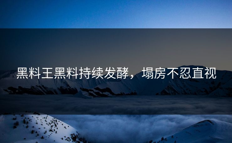 黑料王黑料持续发酵，塌房不忍直视