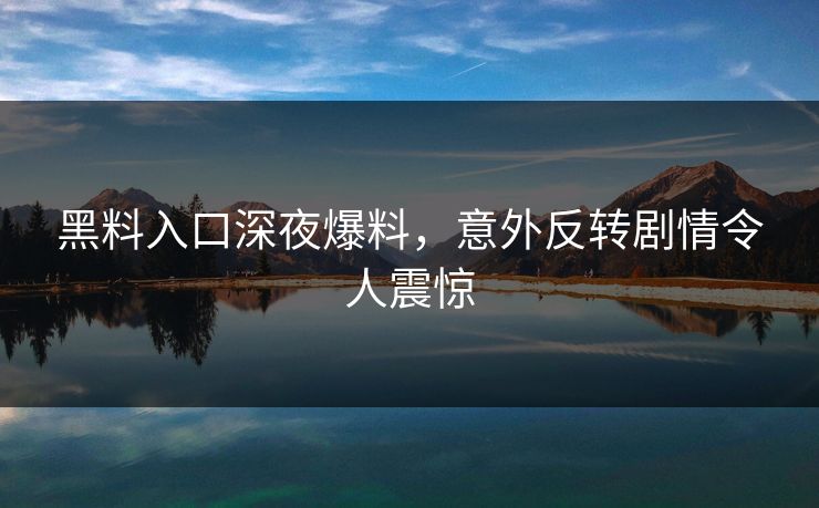 黑料入口深夜爆料，意外反转剧情令人震惊