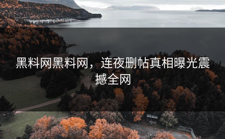 黑料网黑料网，连夜删帖真相曝光震撼全网