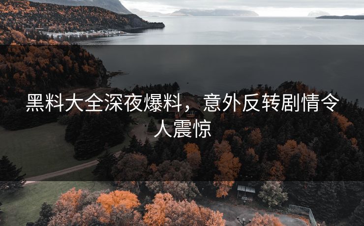 黑料大全深夜爆料，意外反转剧情令人震惊