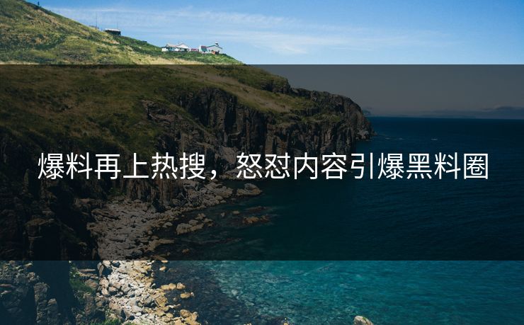 爆料再上热搜，怒怼内容引爆黑料圈
