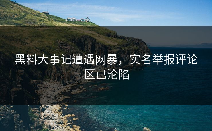黑料大事记遭遇网暴，实名举报评论区已沦陷