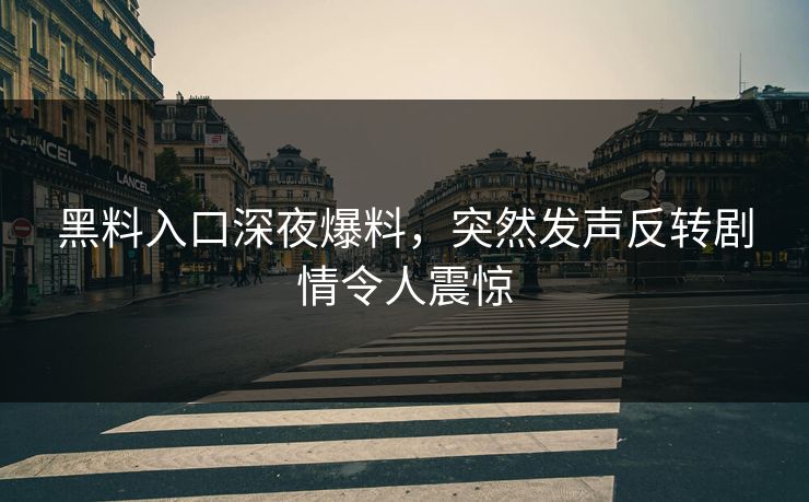 黑料入口深夜爆料，突然发声反转剧情令人震惊