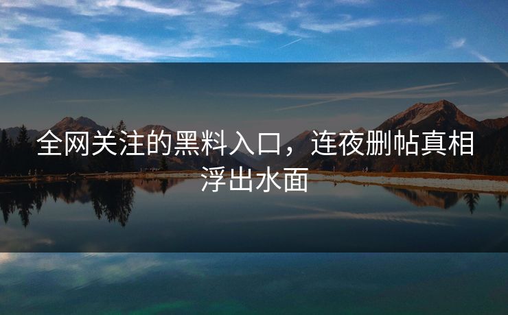 全网关注的黑料入口，连夜删帖真相浮出水面
