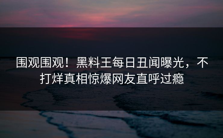 围观围观！黑料王每日丑闻曝光，不打烊真相惊爆网友直呼过瘾