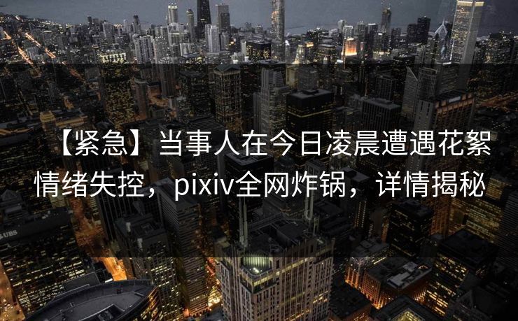 【紧急】当事人在今日凌晨遭遇花絮情绪失控，pixiv全网炸锅，详情揭秘