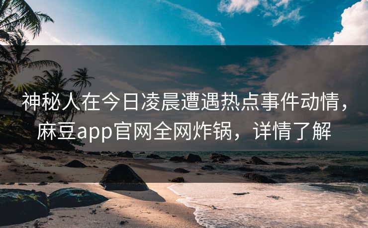神秘人在今日凌晨遭遇热点事件动情，麻豆app官网全网炸锅，详情了解