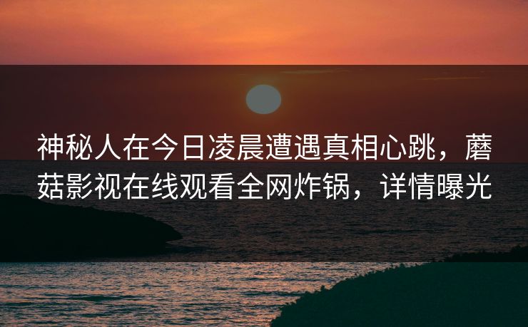 神秘人在今日凌晨遭遇真相心跳，蘑菇影视在线观看全网炸锅，详情曝光