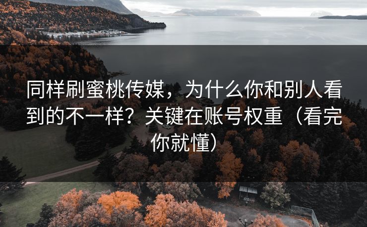 同样刷蜜桃传媒，为什么你和别人看到的不一样？关键在账号权重（看完你就懂）
